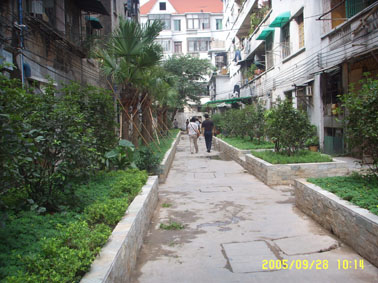 湾街道绿化工? /></a></div><div class=