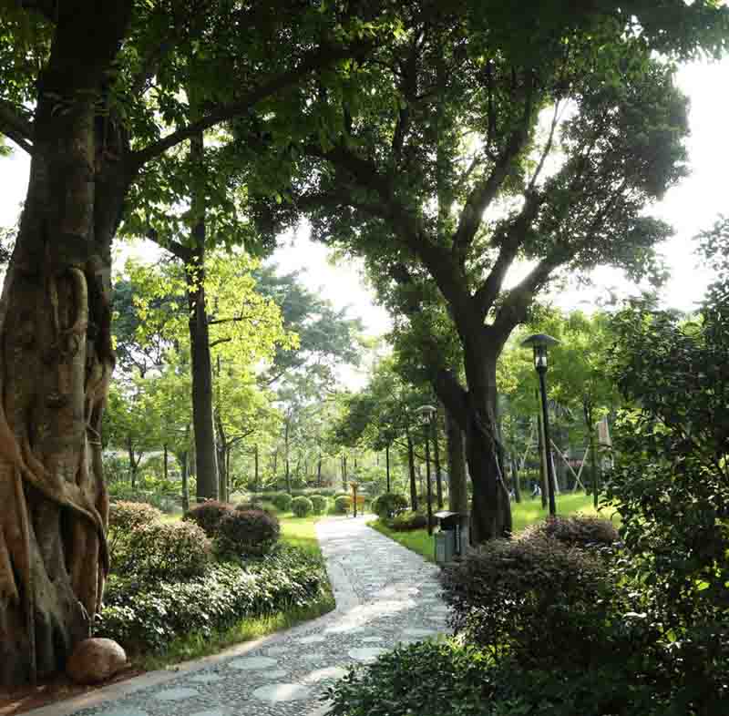 广州市标志性广?-海珠广场园林景观工程