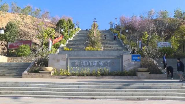 惠东县寨场山森林公园二期工程建设项目【施工? /></a></div><div class=