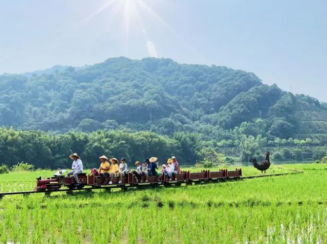 2023年从化区松材线虫病、薇甘菊防治项目